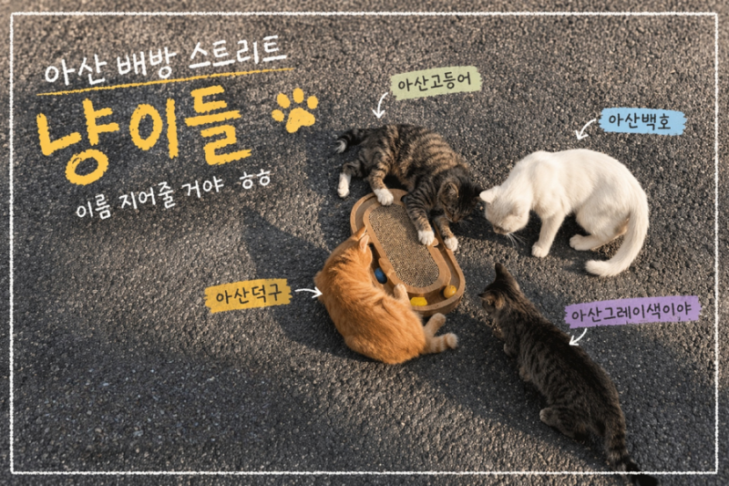 이츠펫 온양점