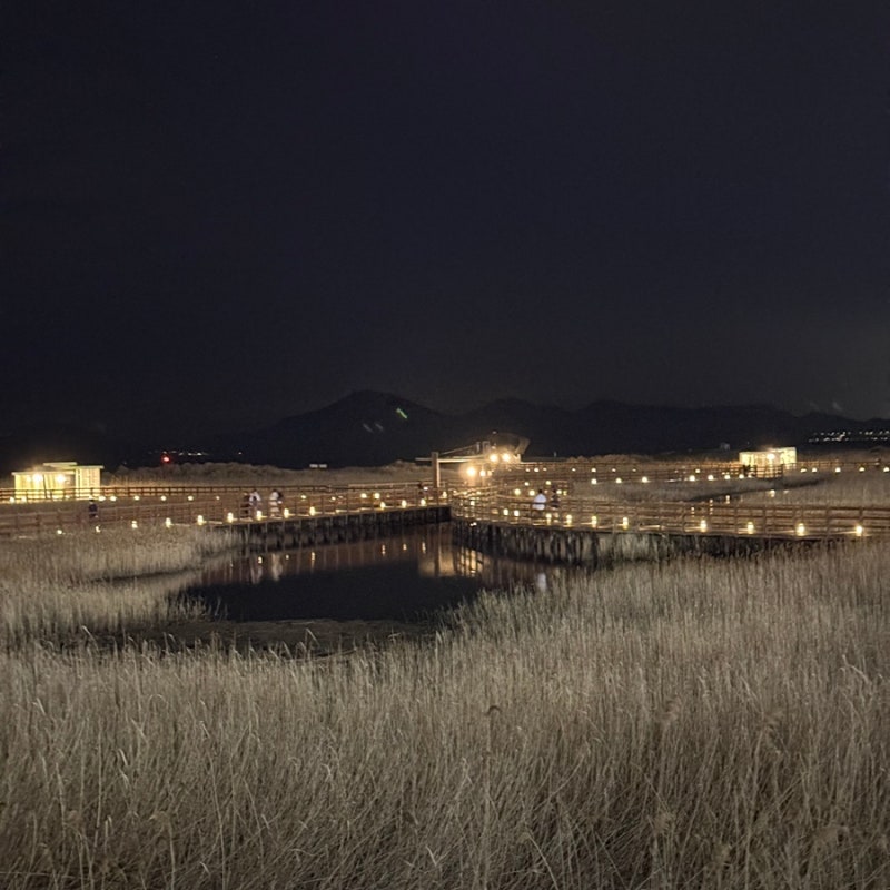 다대포 해수욕장 : 부산 야간 드라이브 코스 추천 - 다대포 해수욕장 산책코스 주차장 전기차....