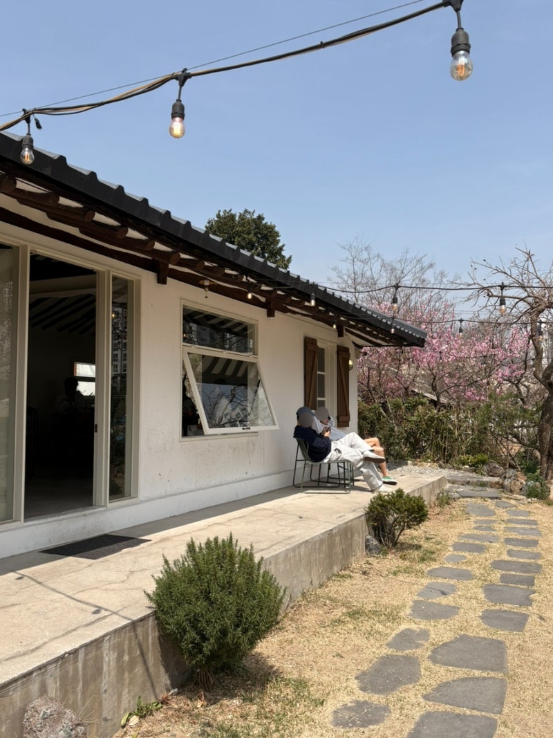 사진 5
