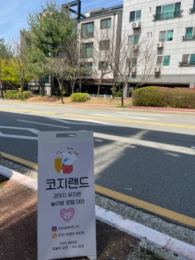 사진 8