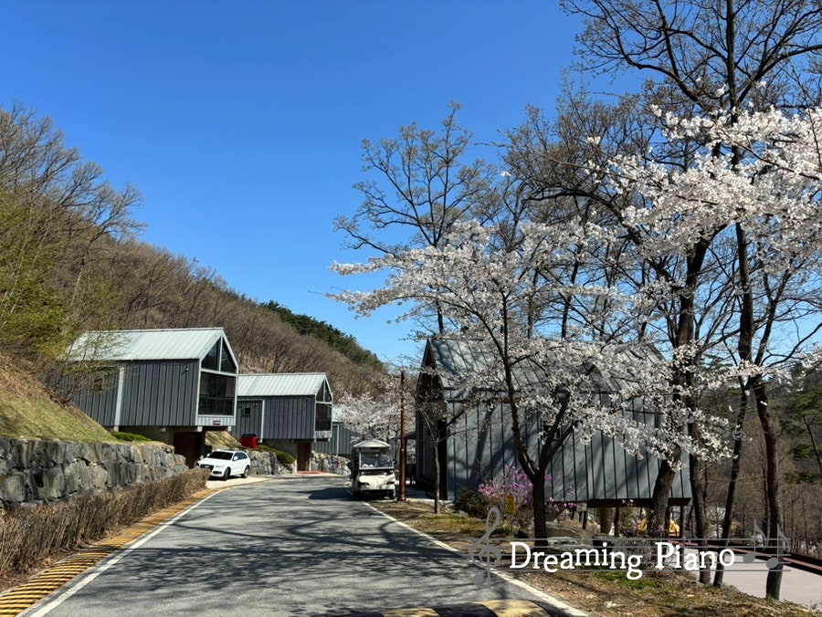 일락산 사진 2
