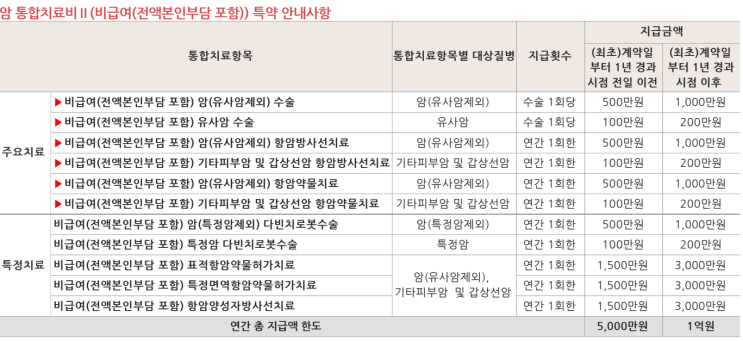  비급여 암 통합치료비 vs 비급여 암 주요치료비｜무엇을 먼저 선택해야 할까