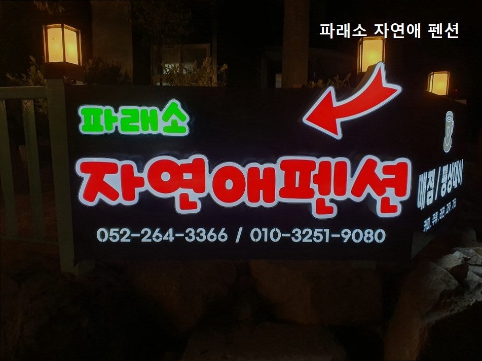 파래소자연애펜션 사진 5