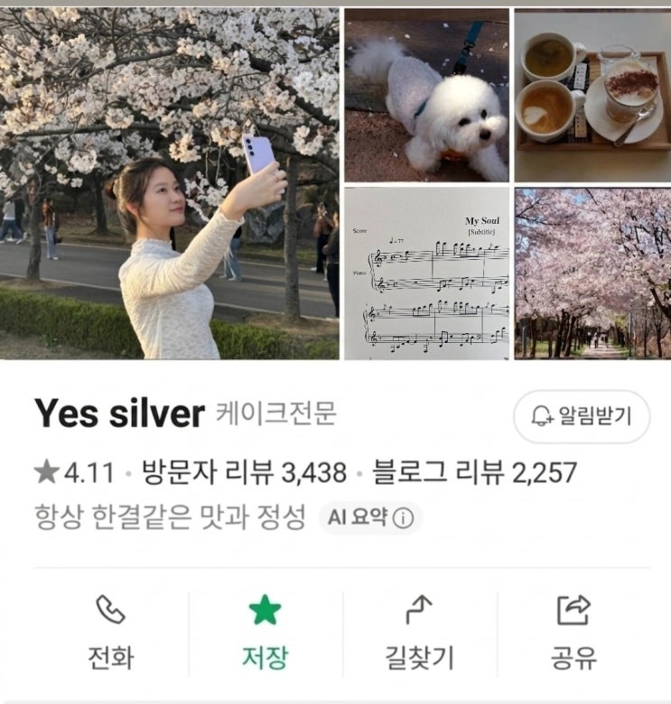  봄봄봄 봄이 왔네요