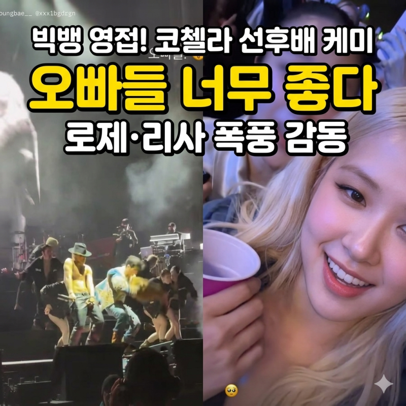 “오빠들 너무 좋다” 블랙핑크 로제·리사, 빅뱅 직관... 코첼라 선후배 훈훈 케미