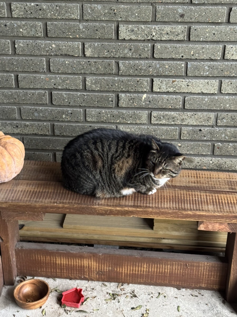 영희의정원 사진 3