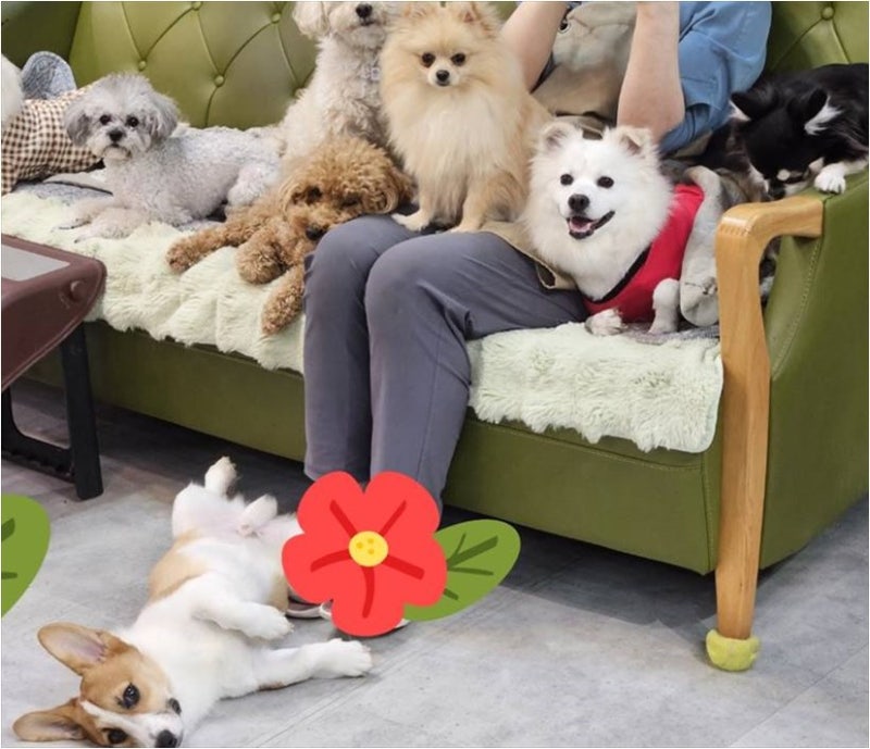 사진 3
