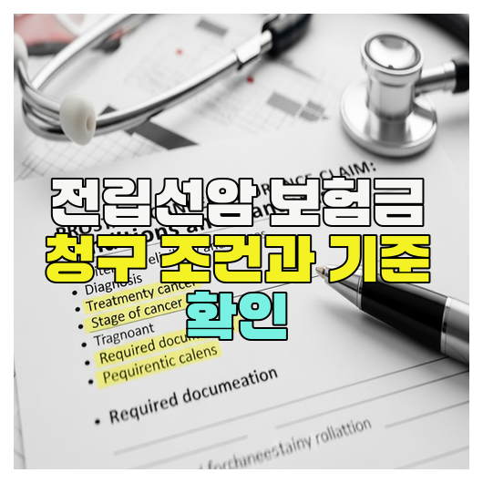  전립선암 보험금 청구 조건과 기준 확인
