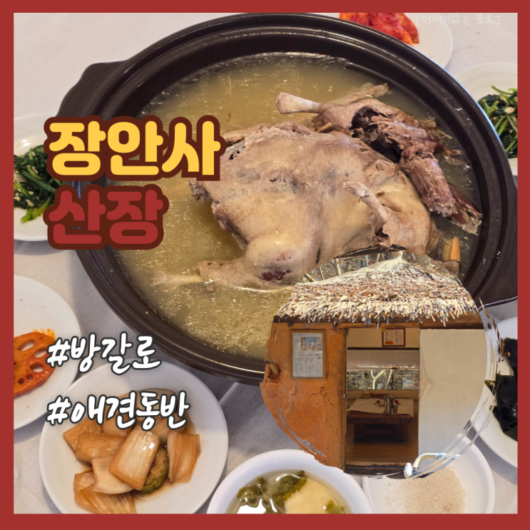 기장 방갈로 식당 장안사 산장 부산 애견동반 밥집 추천 내돈내산 맛집 후기