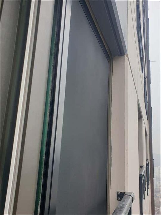 오십년 사진 2