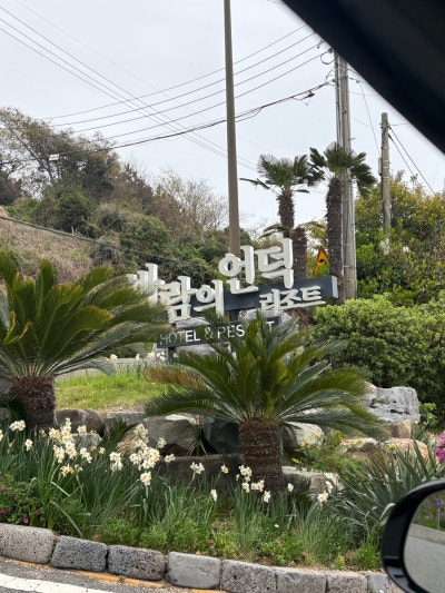 사진 5