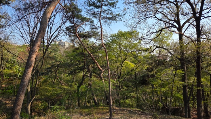 삼청공원