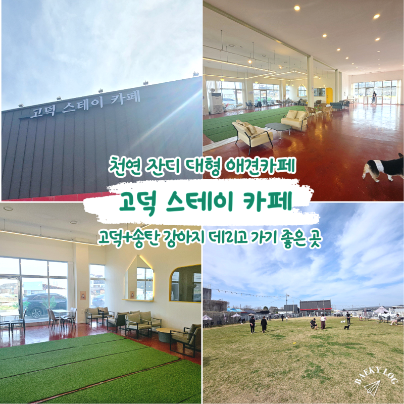 사진 2