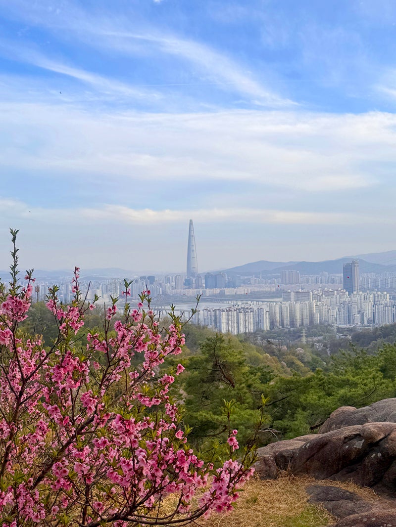 사진 4
