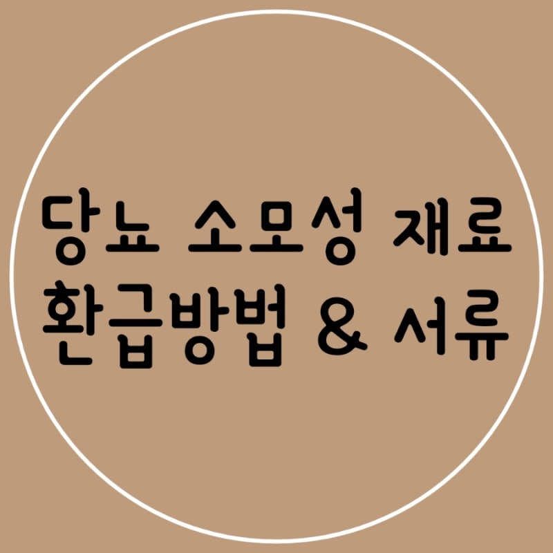 당뇨 소모성 재료 환급 방법 및 서류 (제1형당뇨)