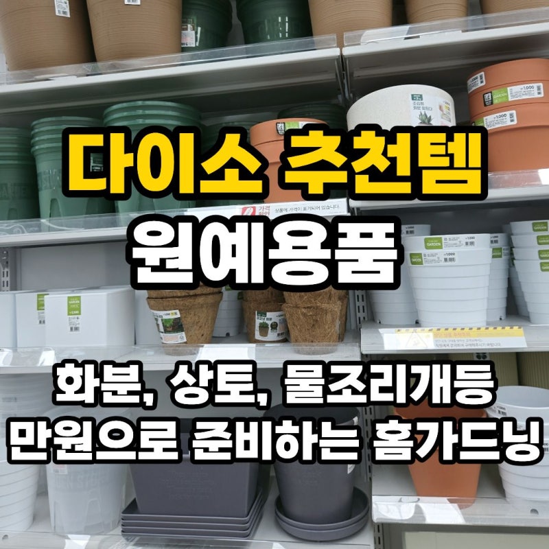 다이소 추천템 원예용품 화분 상토 물조리개 등 만원으로 준비하는 홈가드닝
