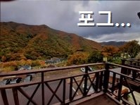 포그니펜션 사진 4