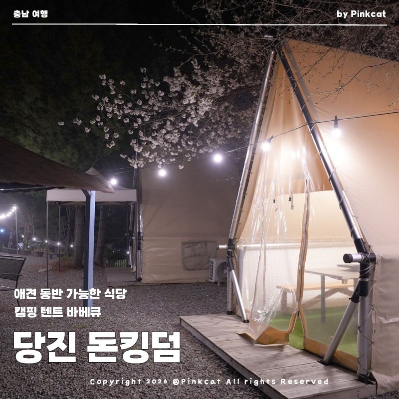 사진 5