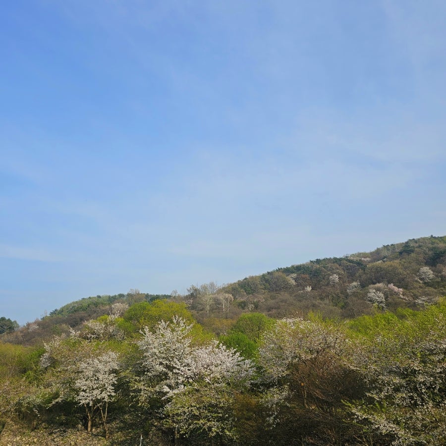 상신계곡펜션 사진 3