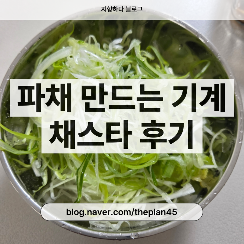 가정용 파채 파저리 기계 채스타 내돈내산 솔직 후기 파채만들기