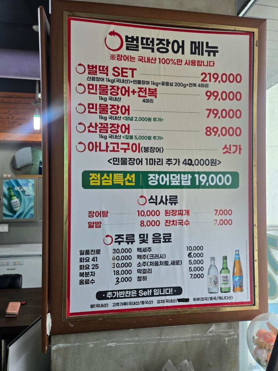 벌떡장어 사진 4