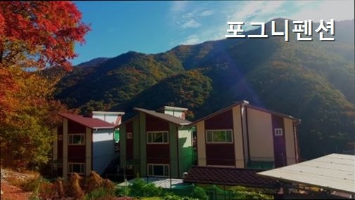 포그니펜션 사진 2