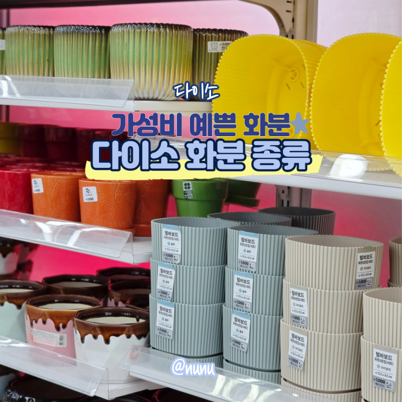 다이소 화분 종류 실내 예쁜 토분 슬릿 저면관수 화분 받침대 세트 준비 가능
