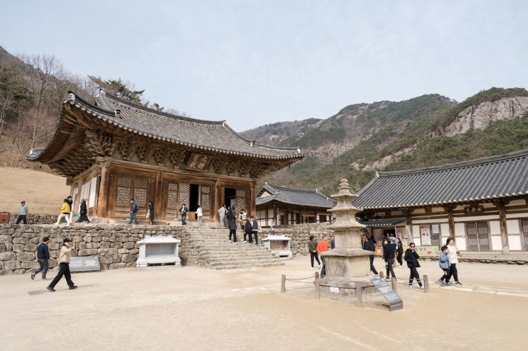  전북 부안 가볼만한 곳, 내소사 전나무숲길 산책에서 만난 소소한 풍경