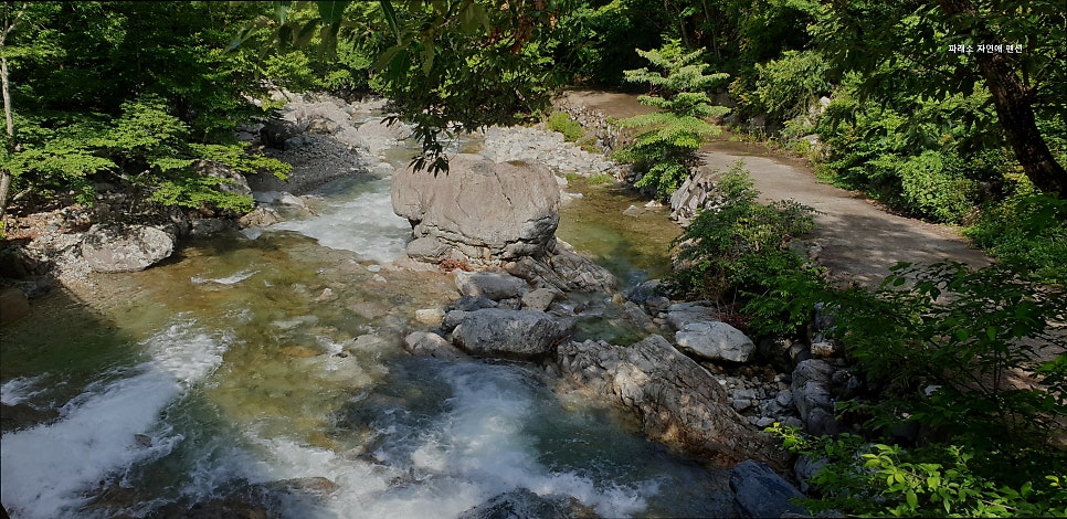 파래소자연애펜션 사진 2