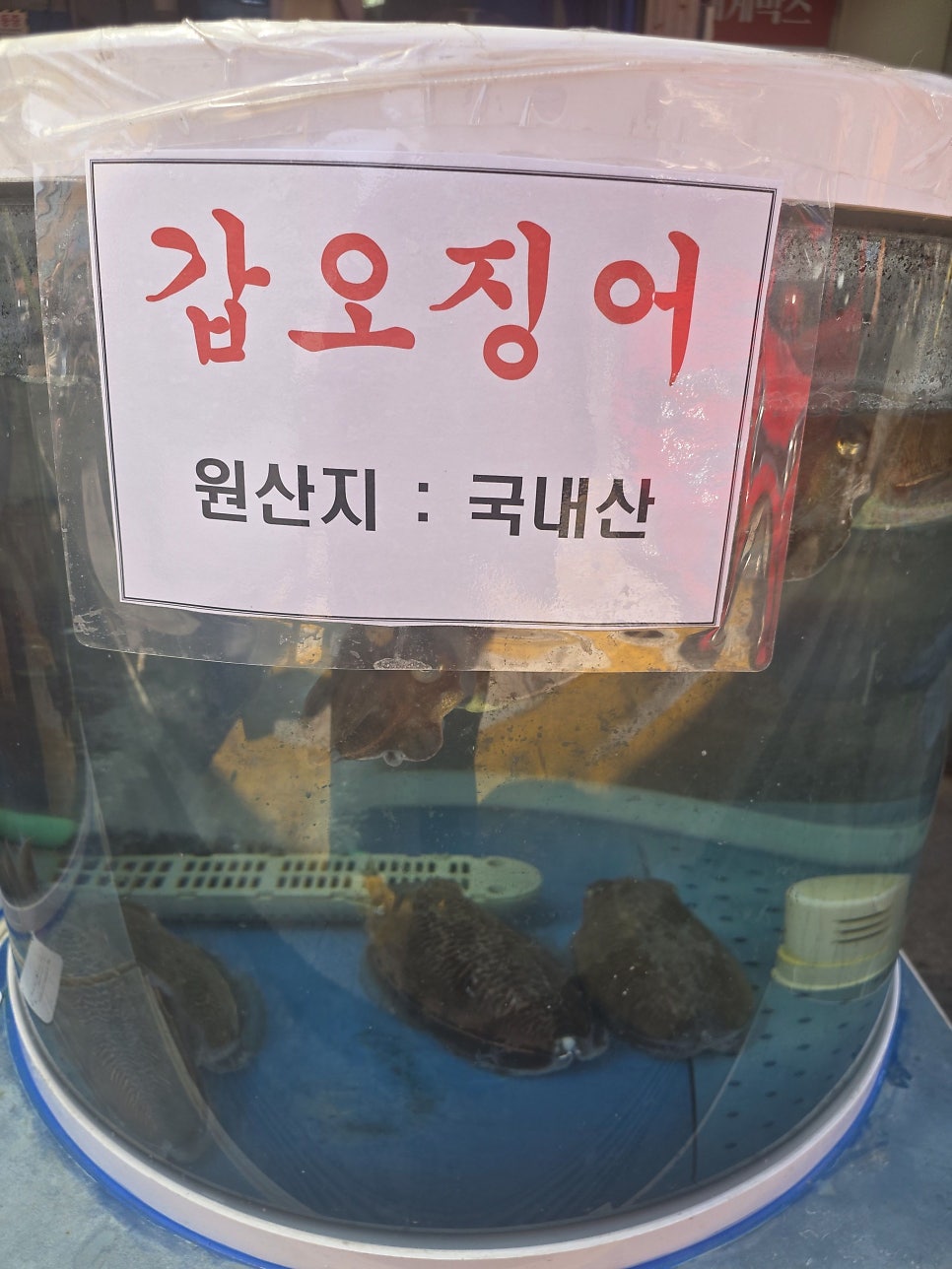 와글와글수산 사진 2