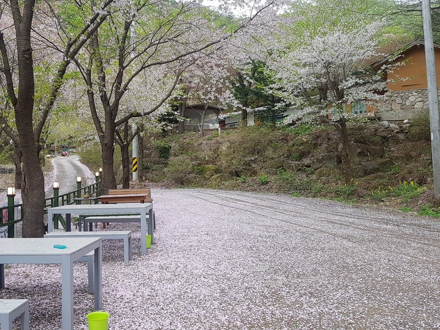 호명산부대찌개 사진 5