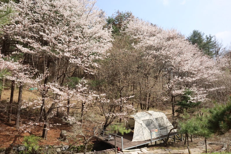 사진 5