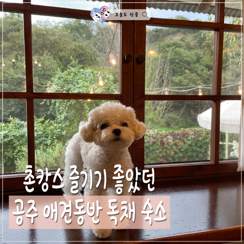 스테이보늬밤 — 공주시