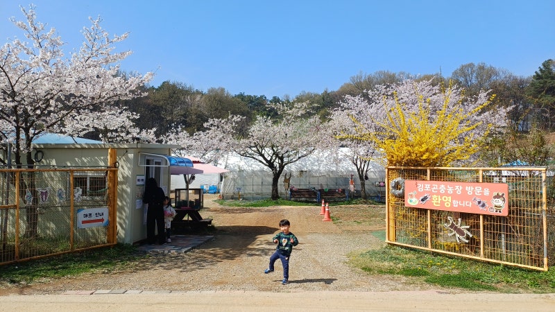 김포 아이와 가볼만한곳, 직접 만지고 배우는 김포 곤충농장 체험 후기