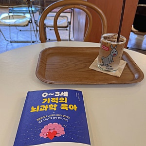 내 본능을 다시 믿게 해준 책, 《0~3세 기적의 뇌과학 육아》 l 수면교육보다 중요한 것