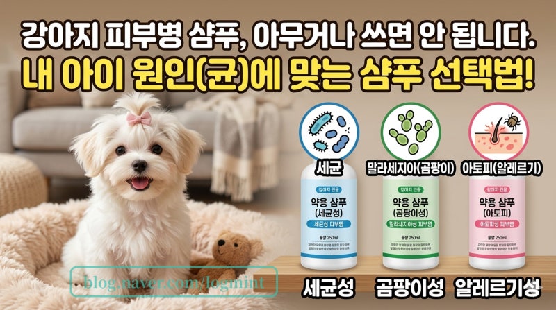 강아지 피부병 원인별 샴푸 선택법 | 말라세지아·농피증·아토피 샴푸 성분이 달라야 하는 ....