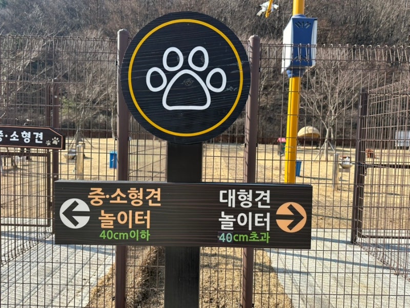 사진 6