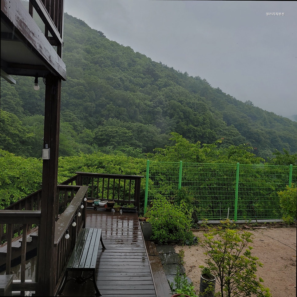 Cheongarichipensyeon photo 4