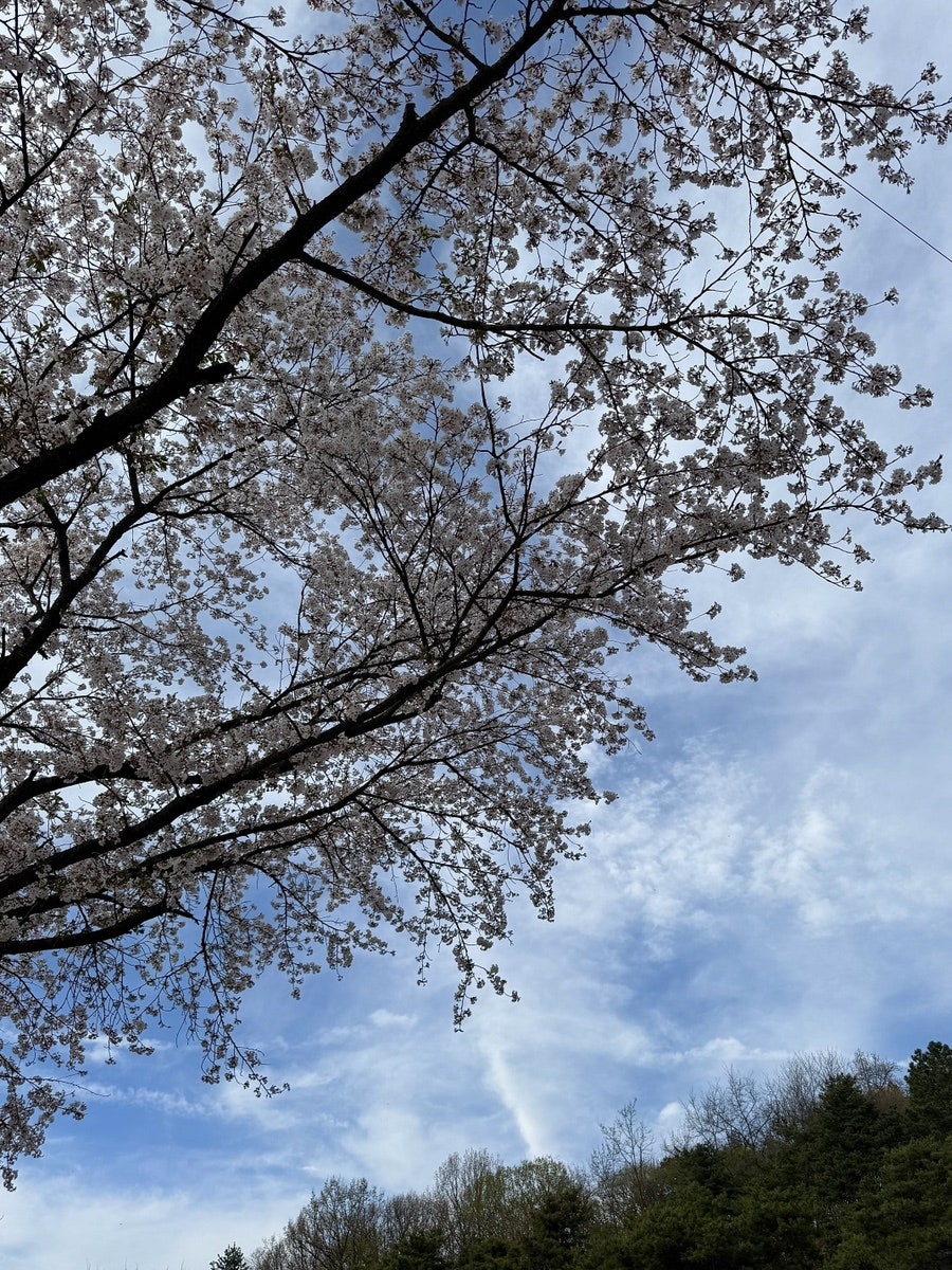 청풍이음펜션 사진 6