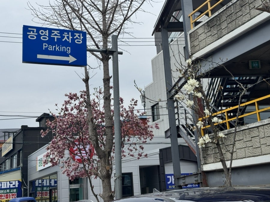 서울찹쌀순대 사진 5
