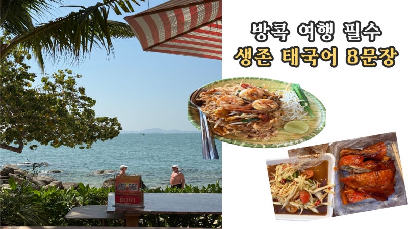방콕 자유여행, 필수 생존 태국어 8문장 (고수 빼주세요 포함) ｜태국 여행할 때 반드시 사용....