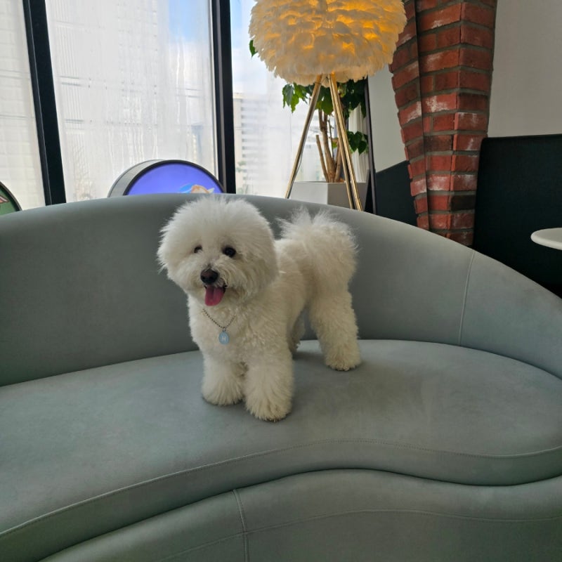 사진 11
