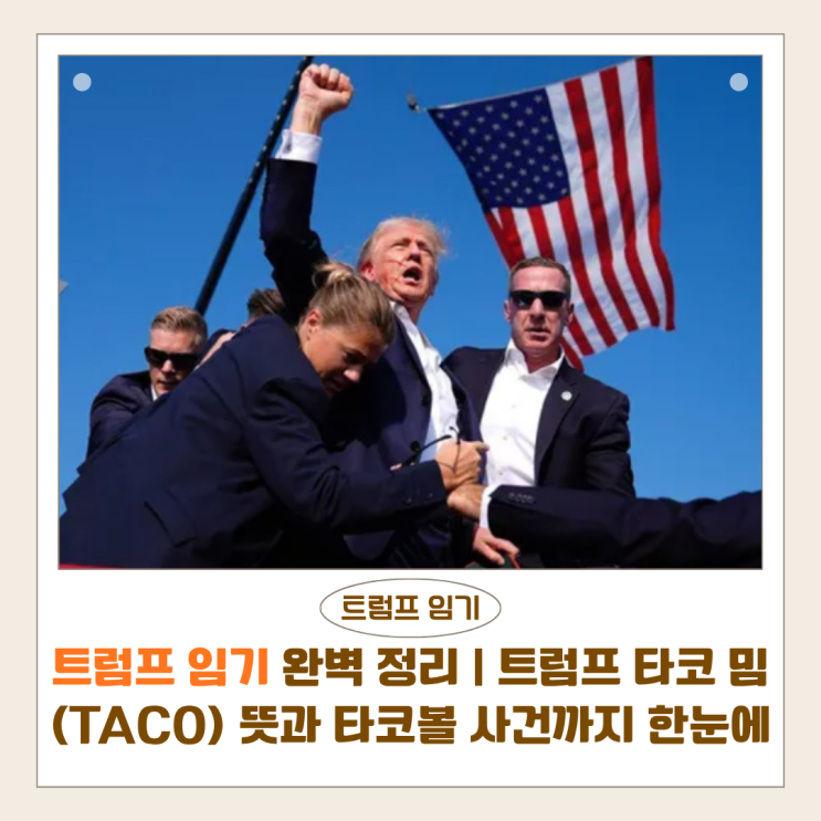  트럼프 임기 완벽 정리 | 트럼프 타코 밈(TACO) 뜻과 의미 한눈에