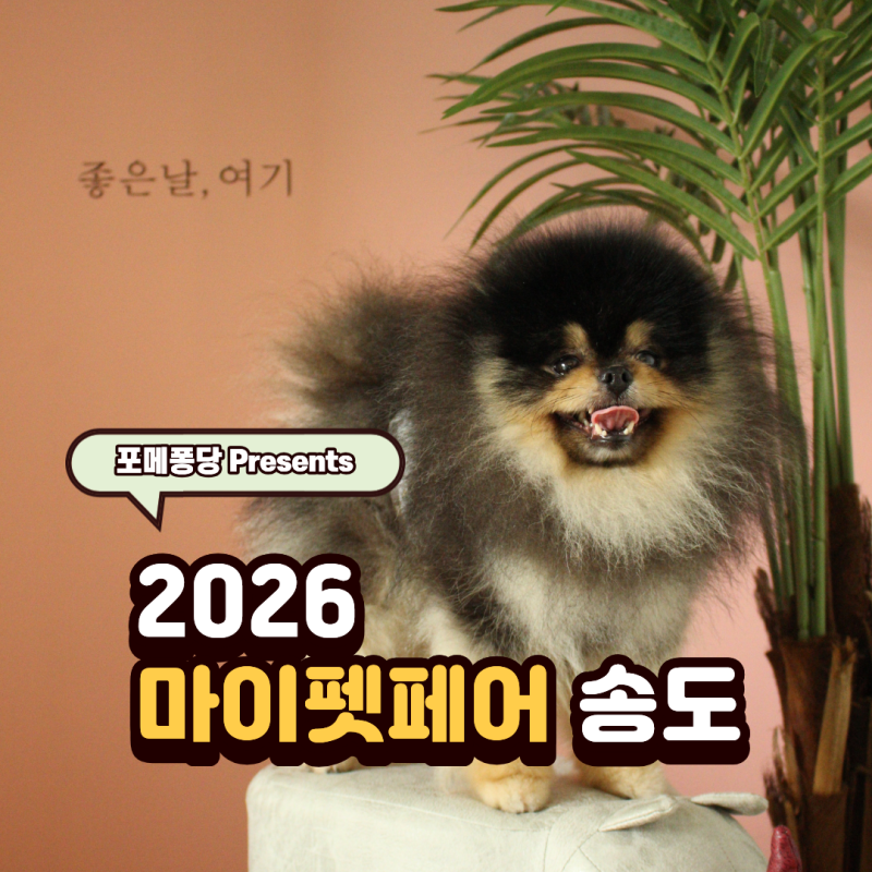 마이펫페어 2026 송도 주차