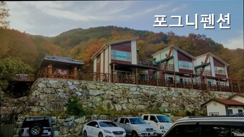 포그니펜션 사진 1
