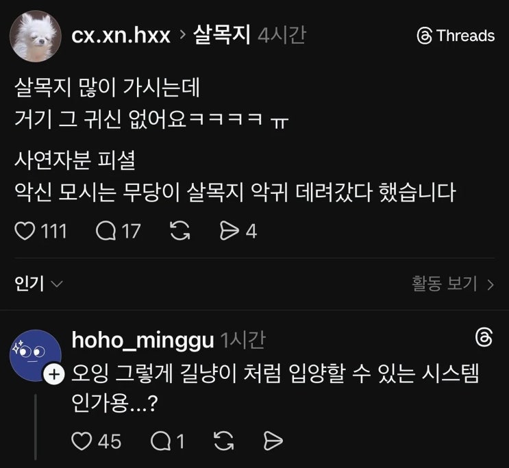  지금 살목지에는 가도 귀신이 없다.jpg