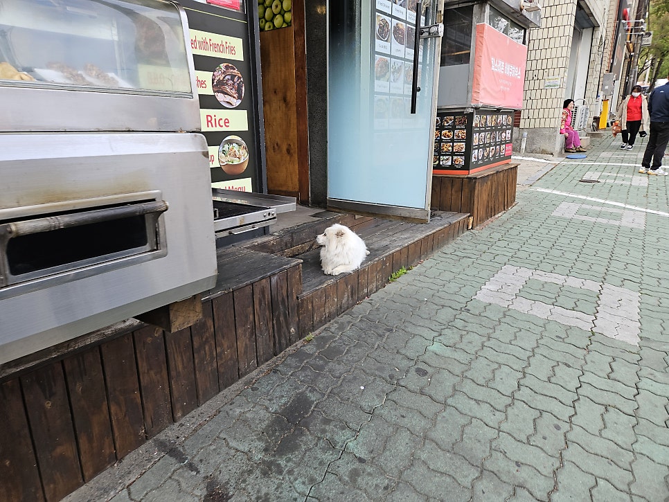 킴스레촌바베큐하우스 사진 2