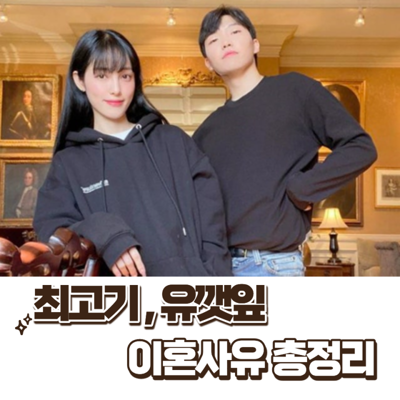 최고기 유깻잎 이혼 사유 총정리｜‘X의 사생활’ 재조명된 이유와 현재 근황