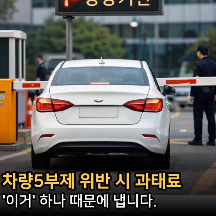  차량5부제과태료 10만원 아끼기, 위반시 벌금 폭탄 맞는다?