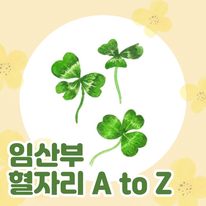 임산부에게 도움 되는 혈자리와, 임신 중 피해야 하는 혈자리